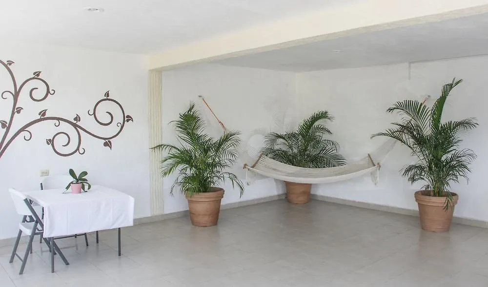 Hotel Shaddai Playa del Carmen